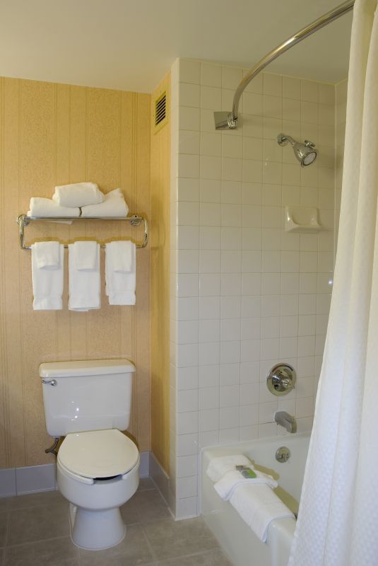 Small Bathroom Shower Layouts